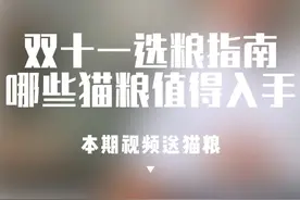 今年双十一哪些猫粮值得入手 #猫粮推荐#猫粮测评视频封面