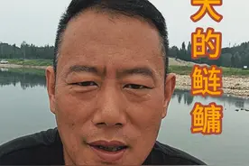 你见过最大的鲢鳙多大 #钓鱼#野钓#钓鱼人的快乐@DOU+小助手 @DOU+上热门视频封面