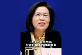 沈莹已任中央统战部分管日常工作的副部长（来源：政事儿）#沈莹  #中央统战部