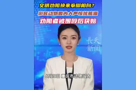 文明劝阻换来拳脚相向？游客动物园内大声惊扰熊猫，劝阻者被围殴后获赔！视频封面