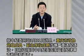 直辖市“老虎”，重庆市政协党组成员、副主席段成刚任上被查 #权威发布视频封面