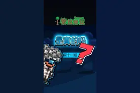 再也不用为弹药发愁了#泰拉瑞亚 #泰拉瑞亚手游 