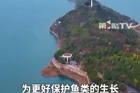 每年的3月到6月是鱼类繁殖的主要时节，喜欢钓鱼的朋友注意了！#3月1日起重庆所有禁捕水域禁钓4个月 ，含长江、嘉陵江、乌江干流以及大宁河等754条禁捕河流。#重庆 #重庆dou知道视频封面