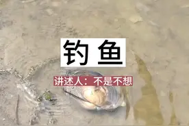 <钓鱼> 钓鱼发生离奇遭遇 #升誠故事汇 #民间故事 #诡异故事视频封面
