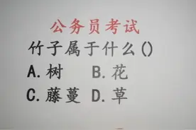 公务员考试：竹子属于什么？