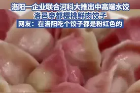 洛阳一企业联合河科大推出中高端水饺，洛邑帝都樱桃鲜肉饺子，网友：在洛阳吃个饺子都是粉红色的视频封面
