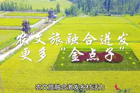 农文旅融合迸发更多“金点子” 农文旅融合激发乡村活力视频封面