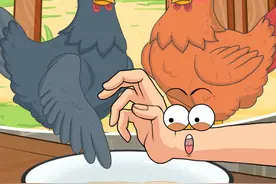 双黄蛋是怎么形成的？@嬉游记 #生活小常识 #轻漫计划 #涨知识 #脑洞大开 #科普一下视频封面