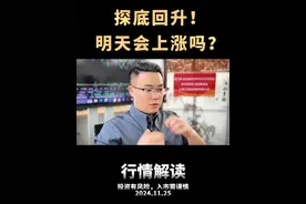 探底回升！明天会上涨吗？#财经 #股民 #股票 #炒家梁爷
