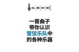 一首曲子带你认识管弦乐队中的各种乐器
对于不熟悉交响乐团乐…视频封面