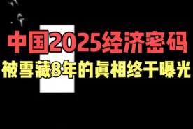 中国2025经济密码：被雪藏8年的真相终于曝光#经济 #社会百态视频封面