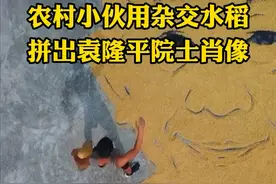 农村小伙用杂交水稻绘出袁隆平院士肖像：杂交稻高产离不开袁隆平