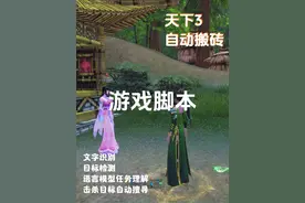 天下 3 游戏脚本 自动搬砖 #天下3游戏 #游戏脚本制作 #游戏搬砖视频封面