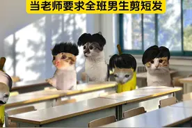 当老师要求全班男生剪短发 #猫meme #万万没想到 #剪发视频封面