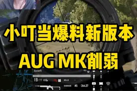 小叮当爆料吃鸡新版本，AUG MK要削弱！ #左梓轩小叮当 #绝地求生 #吃鸡 #内容启发搜索视频封面