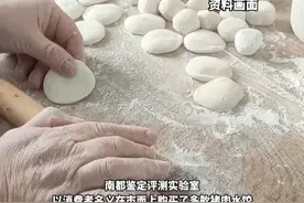 多家猪肉水饺检查出鸡成分
涉及湾仔码头、正大、必品阁、思念、三全等
官方:同一生产车间可能存在气溶胶干扰#饺子 #食品安全视频封面