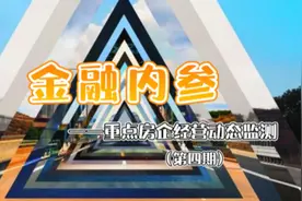 金融内参——重点房企经营动态监测（004）#绿城 #土地 #拍地视频封面
