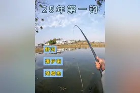 今天站起来了！2025年第一钓爆护啦~ #野河野钓 #原来钓鱼才是抖音运动顶流 #dou是钓鱼人 #钓鱼的乐趣只有钓鱼人懂 #创威凌天非凡大师小综合 @创威官方旗舰店视频封面
