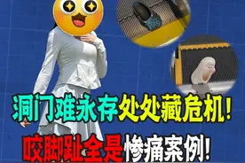 洞洞鞋为什么不能穿它上扶梯？咬脚趾，被挤！全是惨痛案例！ #洞洞鞋 #冷知识 #扶梯 #科普知识