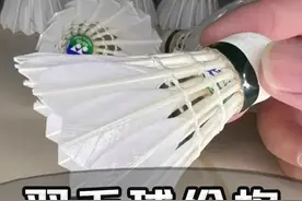 两筒价格直逼一克黄金，谁让羽毛球变成了“贵族运动”？ #热点视频封面