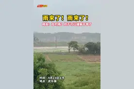 雨来了！雨来了！ #广西旱灾 #抗旱 #下雨视频封面