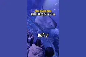 网红街的保安太可爱了！#搞笑瞬间 #经典语录 #海底世界 #呼市观察 视频封面