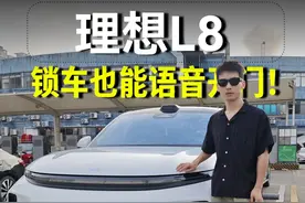 锁车仍被语音控制 ？ 泼水节让理想汽车成泡水节#dou是好车 #理想汽车 #泼水节