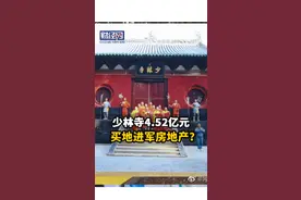 少林寺4.52亿元买地进军房地产？拍得地块定位其实为文艺演艺相关产业#河南少林寺进军房地产 #释永信拥有18家公司控制权 
