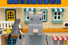发现有老鼠，等等！它竟然会跳舞！好魔性！ #盖瑞 #老鼠舞 #积木搭建 #拼积木 #可乐哥哥视频封面