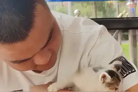 蓝朋友火场救出的6只猫咪都找到主人啦！#天津消防视频封面
