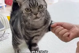 北饭南调 总有一种味道能让你想起，那个容纳灵魂的故乡。#北饭南调 #在外的游子 #青年创作者成长计划  #抖音精选 #好好吃饭大赛