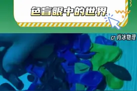 原来色盲眼中的世界是这样的#色盲 #万万想不到 #震惊视频封面