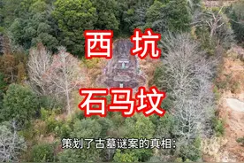 西坑石马坟 2010年，刘基后裔宗亲联谊会成立视频封面