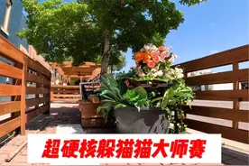 一口气看完超硬核躲猫猫大赛！ #奇葩挑战#奇葩综艺#躲猫猫视频封面