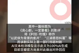 打拐剧变成武侠剧？《利剑·玫瑰》豆瓣评论显示异常，疑出现AI影评