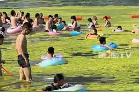 7月12日，#青岛海边浴场遭浒苔侵袭  ，成片成片绿油油的浒苔漂浮在海面上，游客们自发清理把浒苔堆成小山。工作人员：每天都在清理，不影响游泳的。#浒苔 #青岛浒苔