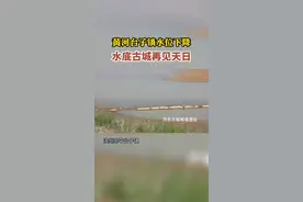 黄河台子镇水位下降，水底古城再见天日！#黄河边看黄河 #黄河水 #台子镇 #齐东古城 #滨州邹平  视频封面