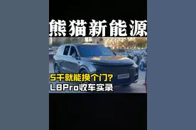 4S店花5千块就能换个门？一波三折的L8PRO #理想L9 #理想L8视频封面