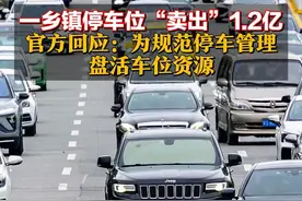 一乡镇停车位“卖出”1.2亿 官方回应：为规范停车管理，盘活车位资源视频封面
