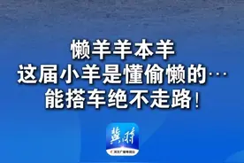 懒羊羊本羊
这届小羊是懂偷懒的…
能搭车绝不走路！
#温馨 #可爱 #动物迷惑行为视频封面