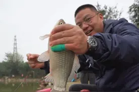 黑坑搂浮鲫鱼鲤鱼 成都玩黑坑，这天天的老板还是有些套路！#慌都不慌 #原来钓鱼才是抖音运动顶流 #2024dou来钓鱼 #秋高气爽正是钓鱼好时节