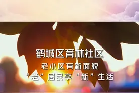 鹤城区育林社区：老小区有新面貌 “老”居民享“新”生活视频封面