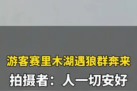 11月13日，新疆。游客赛里木湖遇狼群奔来淡定拍摄，拍摄者：人一切安好。视频封面