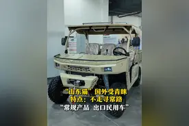 4月15日，“行走黄河”行进式主题采访活动走进山东淄博。网红车“山东猫”学名是“1000-7”型车，“常规产品，出口民用车”。