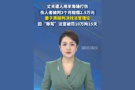 丈夫遭人用羊角锤打伤，伤人者被判3个月赔偿2.5万元，妻子质疑判决找法官理论，因“辱骂”法官被罚10万拘15天。