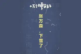 十万个梗百科：张万森，下雪了 #张万森下雪了 #伤感 #初雪