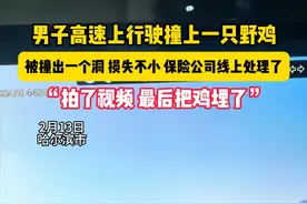 2月13日，哈尔滨市，男子高速上行驶撞上一只野鸡，被撞出一个洞，损失不小，保险公司线上处理了。“拍了视频 最后把鸡埋了”视频封面