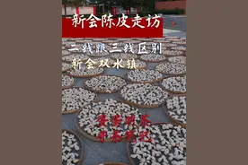 新会陈皮的价格到底贵不贵，我们全天走访 新会双水镇 看看 二线产区跟三线产区有什么区别#新会柑 #陈皮 #新会陈皮 #真实拍摄记录视频封面