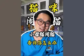 小母猫要不要绝育？绝育的好处和坏处 #猫咪 #绝育 #母猫绝育 #绝育完的猫咪 #绝育手术视频封面