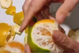 好消息:吃橘子从未发现过虫子
坏消息:吃橘子从未发现过虫子#好吃到停不下来 #抽象